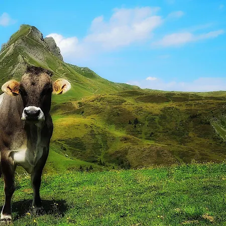 Haus Hoalp Au (Krumbach)